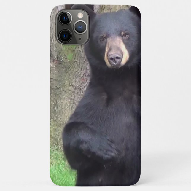 Capa Para iPhone 11 Pro Max Belo Urso Negro (Verso)