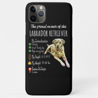 Cachorro | O Orgulhoso Proprietário Do Labrador Re