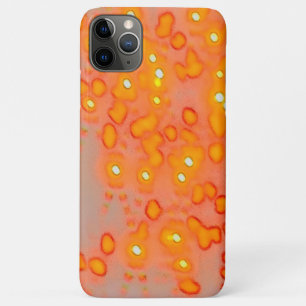 Capa Para iPhone 11 Pro Max Cobrir de Telefone Laranja