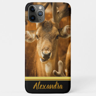 Capa Para iPhone 11 Pro Max Elk Buck olhando para você