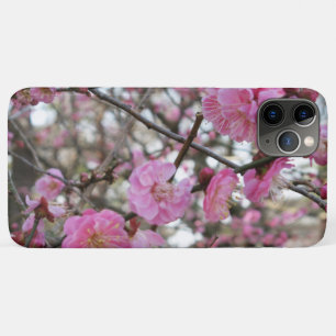 Capa Para iPhone 11 Pro Max Flor de Cerejeira Rosa / Sakura / サクラ(桜)