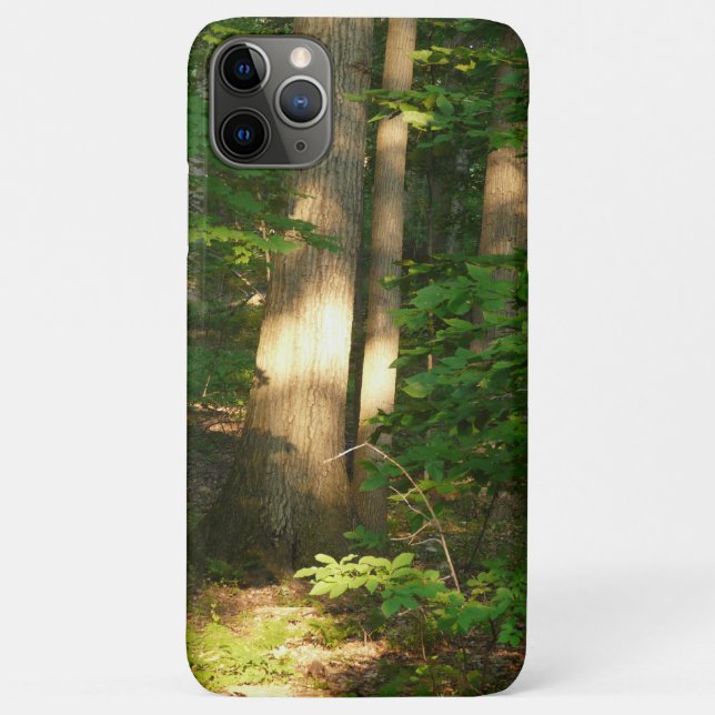 Capa Para iPhone 11 Pro Max Floresta Leve-Natureza (Verso)