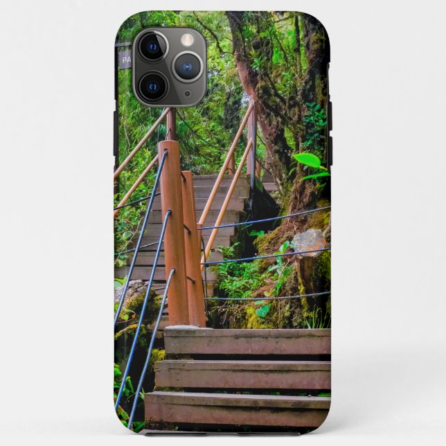 Capa Para iPhone 11 Pro Max Floresta Musgosa (Verso)