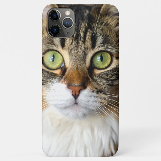 Capa Para iPhone 11 Pro Max Gato (Verso)