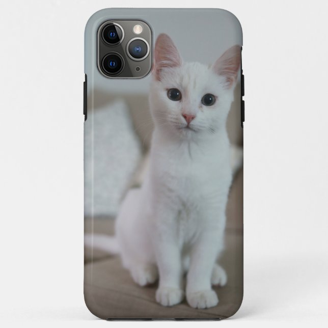 Capa Para iPhone 11 Pro Max Gato Branco | Zazzle_Growth. (Verso)