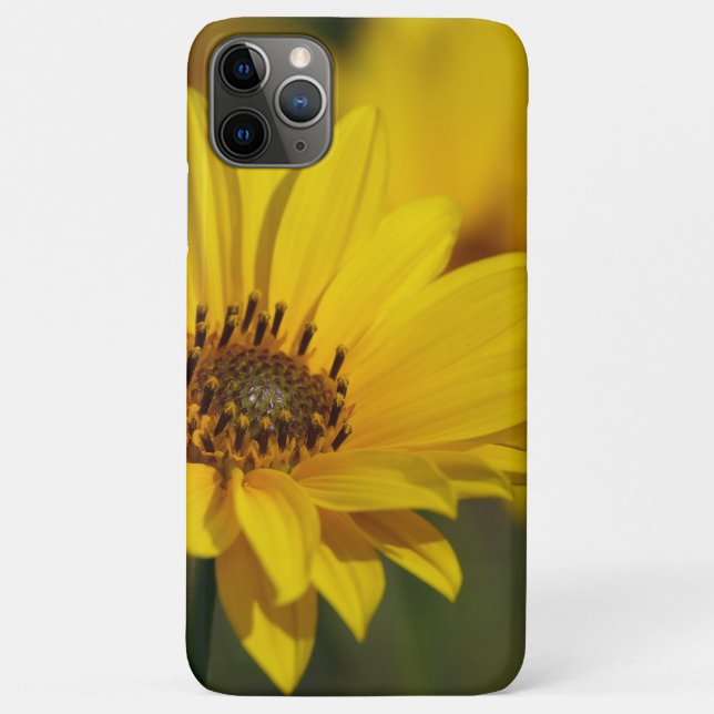 Capa Para iPhone 11 Pro Max Helênio de margarida amarela (Verso)