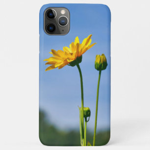 Capa Para iPhone 11 Pro Max Helênio de margarida amarela