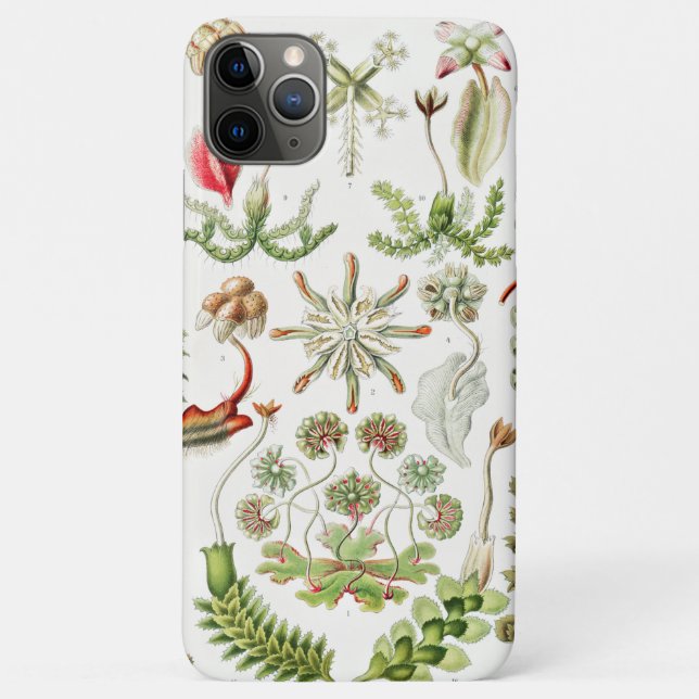 Capa Para iPhone 11 Pro Max Hepaticae Lebermoose por Ernst Haeckel (Verso)