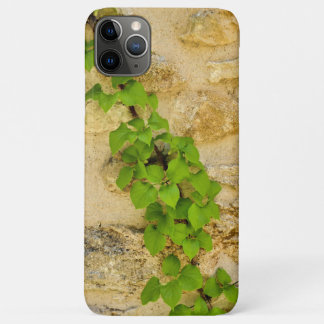 Capa Para iPhone 11 Pro Max Hydrangea petiolaris
