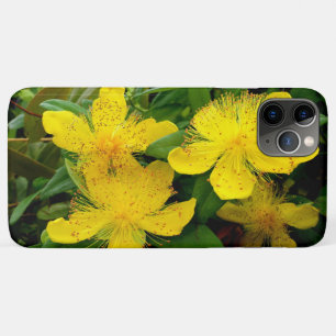 Capa Para iPhone 11 Pro Max Hypericum calycinum