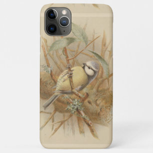 Capa Para iPhone 11 Pro Max Ilustração Vintage de Bluetit