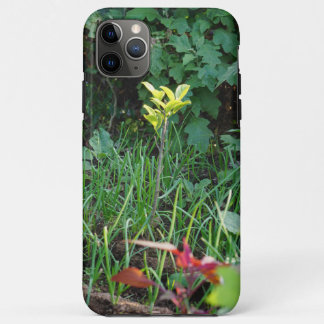 Capa Para iPhone 11 Pro Max iphone