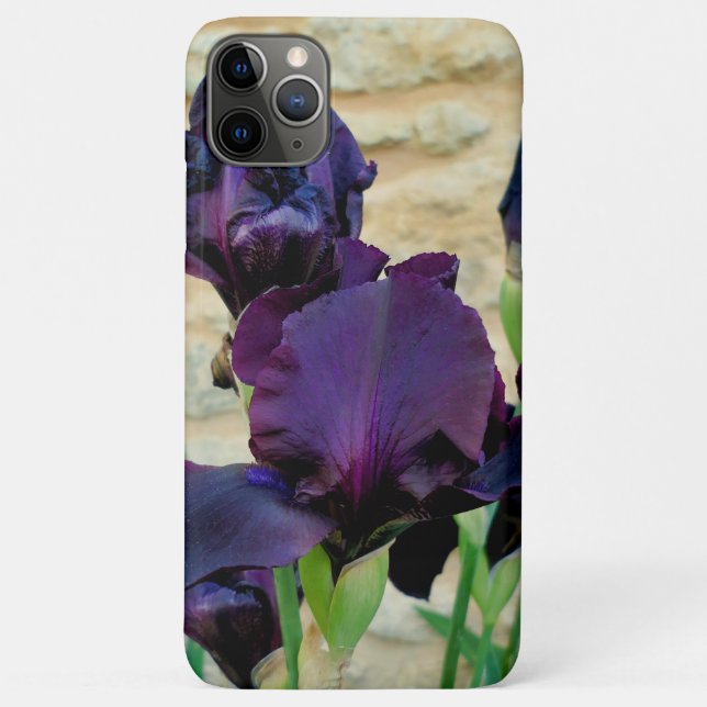 Capa Para iPhone 11 Pro Max Íris cardada (Verso)