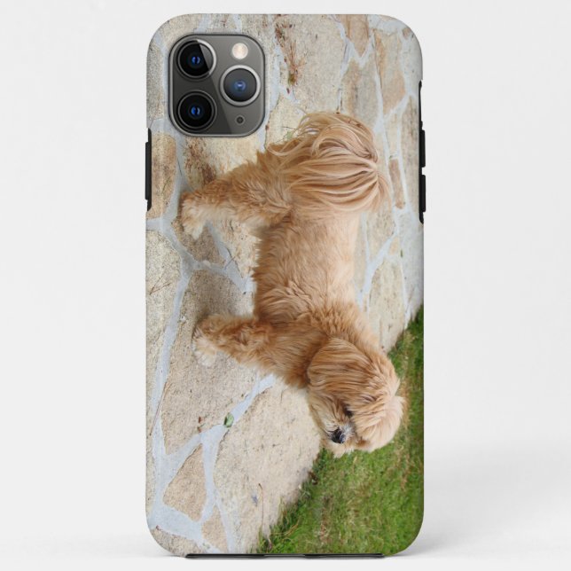 Capa Para iPhone 11 Pro Max Lhasa Apso cão num jardim (Verso)