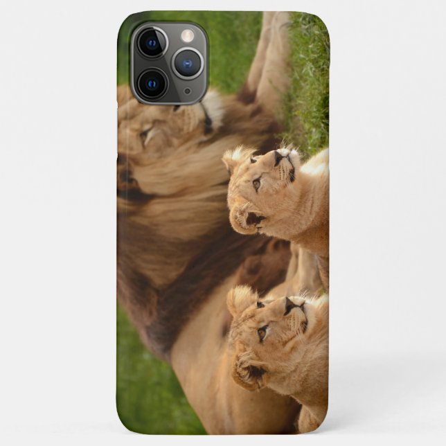 Capa Para iPhone 11 Pro Max Majestic Lion Phone Case – Bold & Powerful Animal  (Verso)