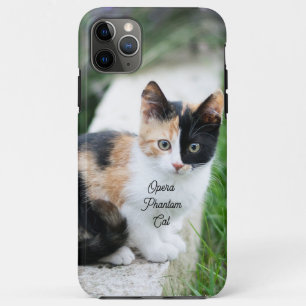 Capa Para iPhone 11 Pro Max Ópera - Fantasma