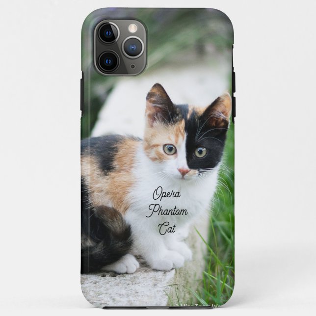 Capa Para iPhone 11 Pro Max Ópera - Fantasma (Verso)