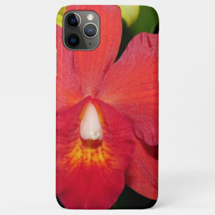Capa Para iPhone 11 Pro Max Orquídea vermelha-clara