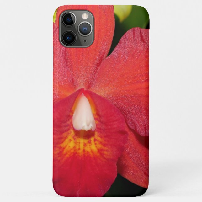 Capa Para iPhone 11 Pro Max Orquídea vermelha-clara (Verso)