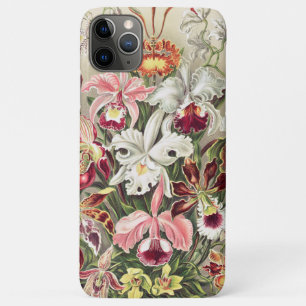 Capa Para iPhone 11 Pro Max Orquídeas, Orquídeas Denusblumen de Ernst Haecke