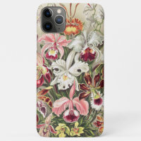 Orquídeas, Orquídeas Denusblumen de Ernst Haeckel