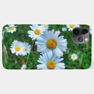 Capa Para iPhone 11 Pro Max Ox-Eye Daisies