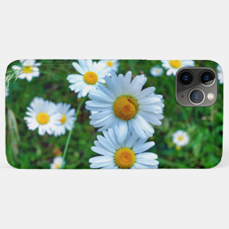 Capa Para iPhone 11 Pro Max Ox-Eye Daisies