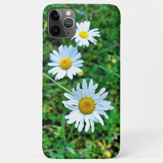 Capa Para iPhone 11 Pro Max Ox-Eye Daisies