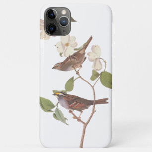 Capa Para iPhone 11 Pro Max Pássaros de uruca-branca-espumante em Dogwood
