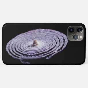 Capa Para iPhone 11 Pro Max Retrato de cebola vermelha