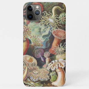 Capa Para iPhone 11 Pro Max Sea Anemones, Actiniae Seeanemonen Ernst Haeckel