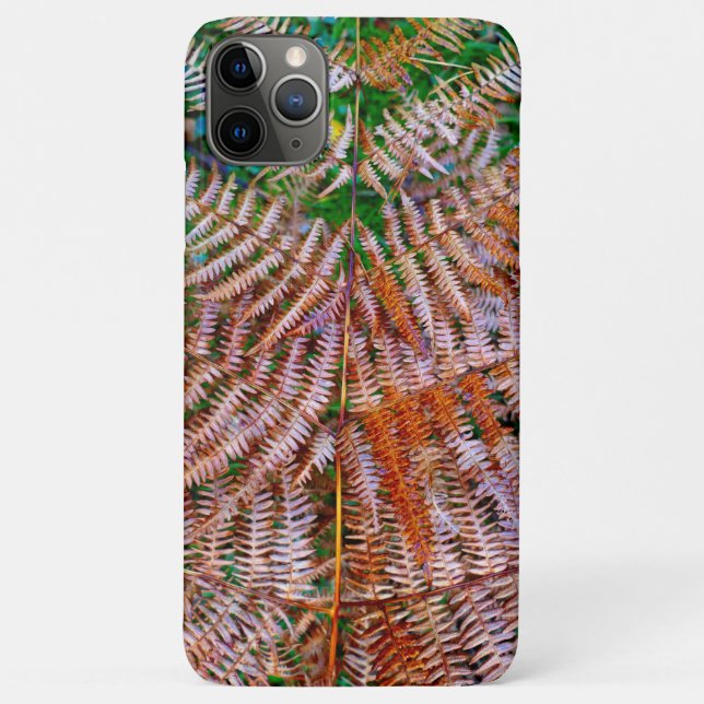 Capa Para iPhone 11 Pro Max Woodland Ferns (Verso)