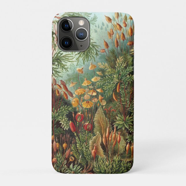 Capa Para iPhone 11 Pro Moss (Muscinae) por Haeckel (Verso)