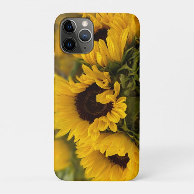 Capa Para iPhone 11 Pro Ouro quente Sunflower Personalizado (Verso)