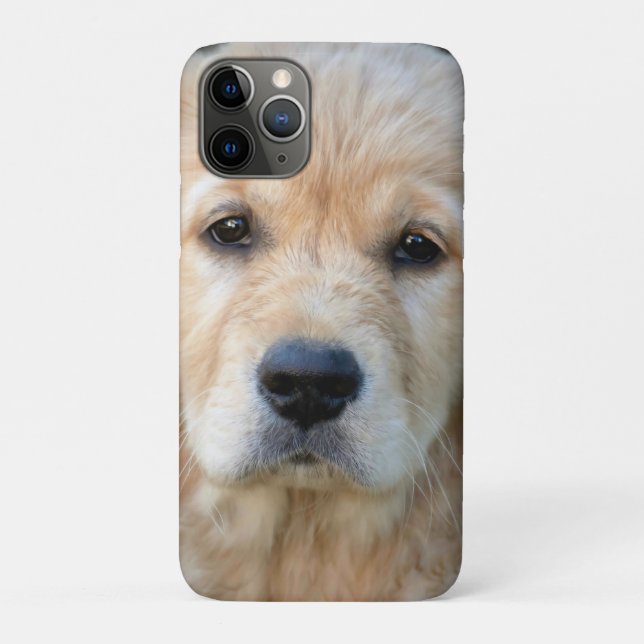 Capa Para iPhone 11 Pro Ouro Retriever Puppy (Verso)
