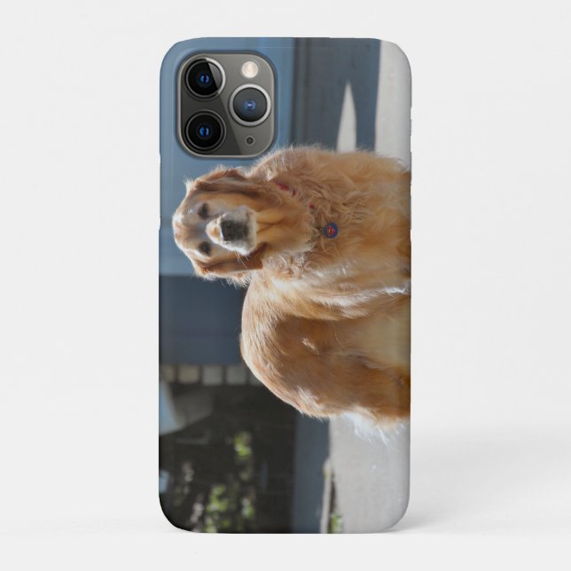 Capa Para iPhone 11 Pro Ouro Sunshine (Verso)