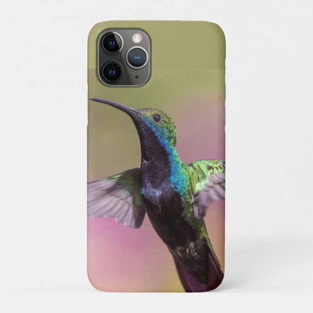 Capa Para iPhone 11 Pro Pássaro Humming (Verso)