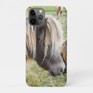 Capa Para iPhone 11 Pro Pôneo Shetland Colorido de Tan,