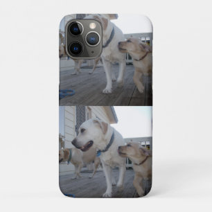 Capa Para iPhone 11 Pro Puppy Kisses: Cream Color Labrador Family Love,
