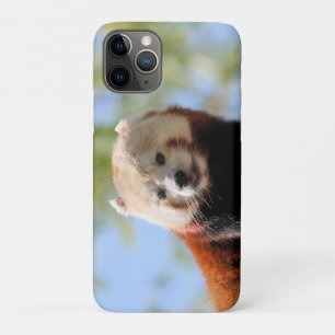 Capa Para iPhone 11 Pro Red Panda