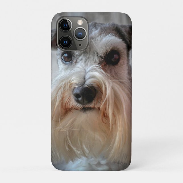 Capa Para iPhone 11 Pro Rosto de Cachorro Schnauzer (Verso)