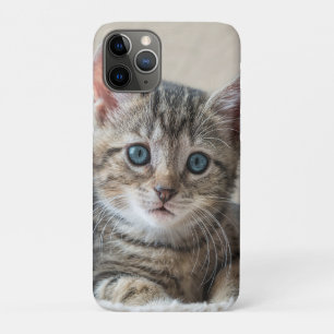 Capa Para iPhone 11 Pro Rosto de Gato Bonito