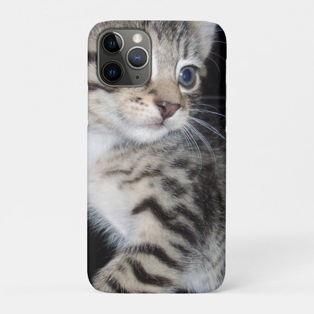 Capa Para iPhone 11 Pro "Sussurros de Problemas: o Misquioso Tabby Kitten (Verso)