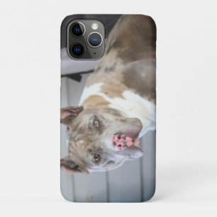 Capa Para iPhone 11 Pro Touro Pitt