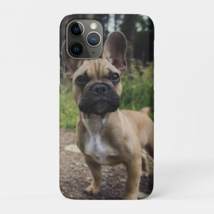 Capa Para iPhone 11 Pro Travesseiro de French Bulldog