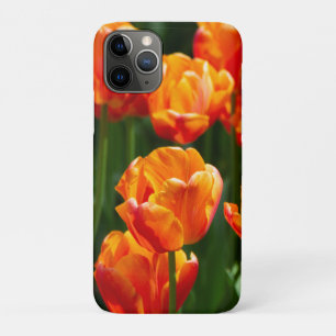 Capa Para iPhone 11 Pro Tulipas laranja brilhante no parque  