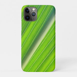 Capa Para iPhone 11 Pro Verde natural listrado