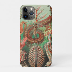 Capa Para iPhone 11 Pro Vermes, Anelídeos Chaetopoda por Ernst Haeckel