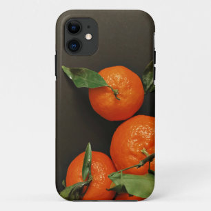 Capa Para iPhone 11 Produtos hortícolas saudáveis