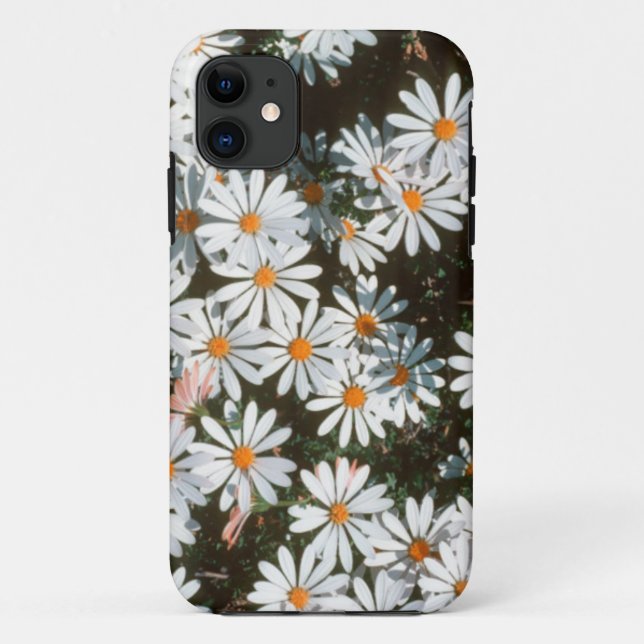 Capa Para iPhone 11 Profusão de Margaridas Brancas (Asteraceae) (Verso)
